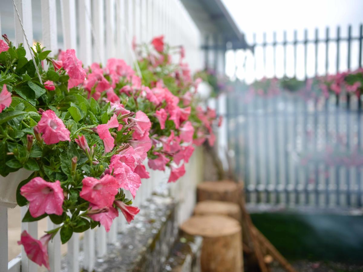 Bonjour Dalat Hostel Екстериор снимка